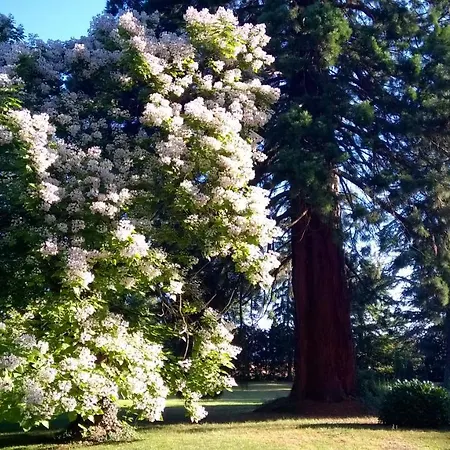 Chateau De La Vernede, La Grande Vernede Saint-Rémy-de-Chargnat