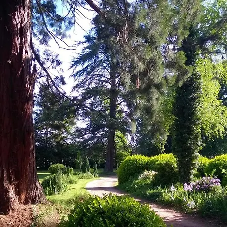 Château De La Vernède Couette-café Saint-Rémy-de-Chargnat
