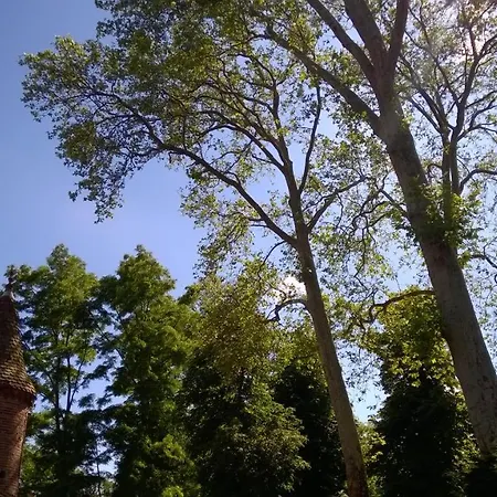 Bed and breakfast Chateau De La Vernede, La Grande Vernede