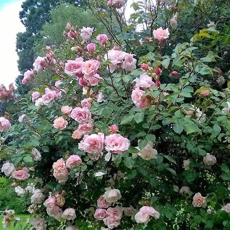 Bed and breakfast Chateau De La Vernede, La Grande Vernede