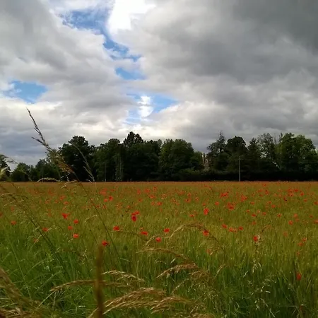 Chateau De La Vernede, La Grande Vernede