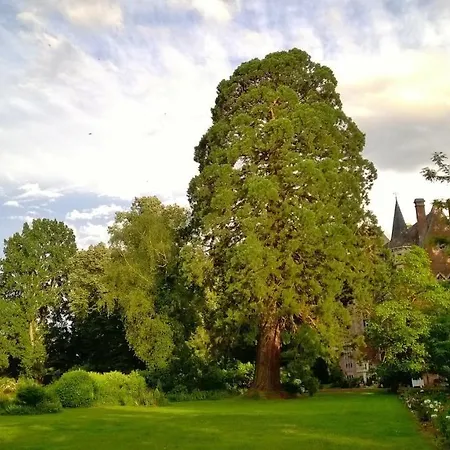 Chateau De La Vernede, La Grande Vernede Saint-Rémy-de-Chargnat