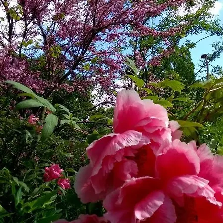 Chateau De La Vernede, La Grande Vernede לינה וארוחת בוקר 3*