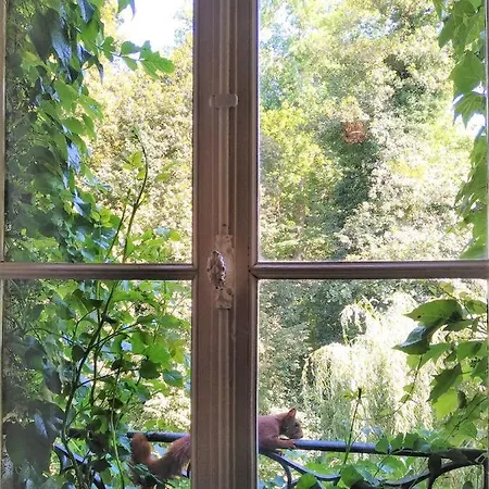 Bed & Breakfast Chateau De La Vernede, La Grande Vernede