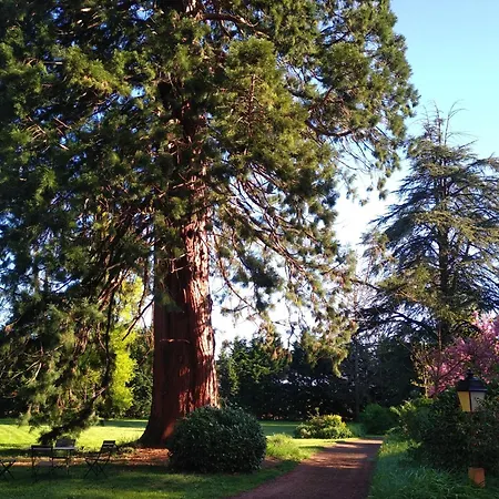 Château De La Vernède Saint-Rémy-de-Chargnat