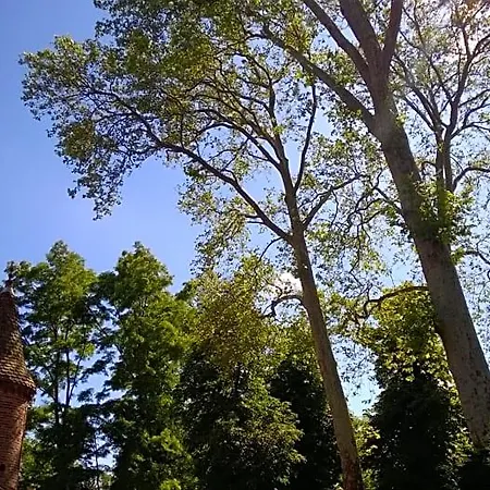 Château De La Vernède, La Grande Vernède 3*