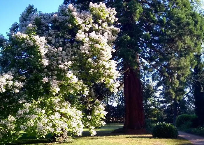 Chateau De La Vernede, La Grande Vernede Saint-Rémy-de-Chargnat
