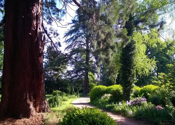 Chateau De La Vernede, La Grande Vernede Bed and breakfast Saint-Rémy-de-Chargnat