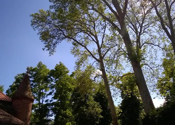 Bed and breakfast Chateau De La Vernede, La Grande Vernede