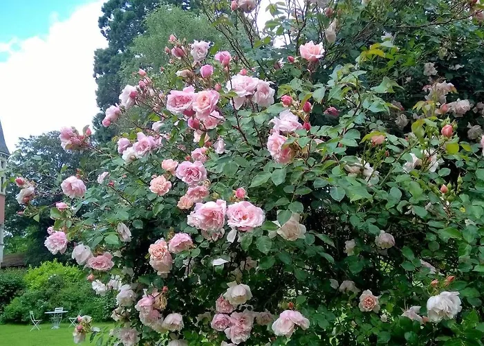 Bed and breakfast Chateau De La Vernede, La Grande Vernede