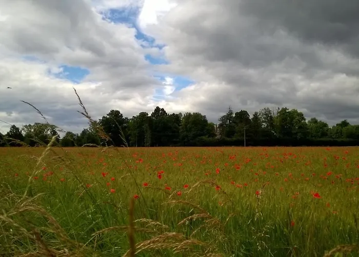 Chateau De La Vernede, La Grande Vernede