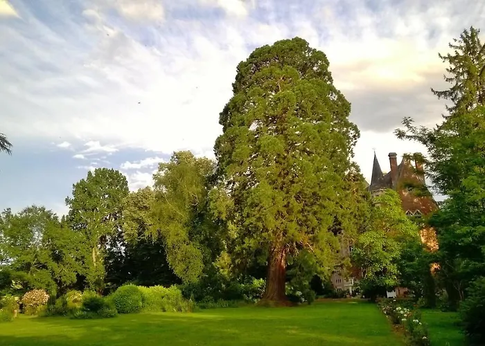 Chateau De La Vernede, La Grande Vernede Saint-Rémy-de-Chargnat